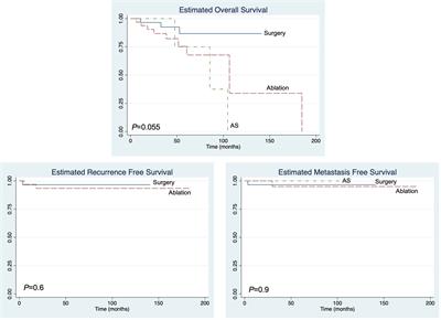 Management of stage 1 renal cell cancer in patients immunosuppressed for organ transplantation or autoimmune disease